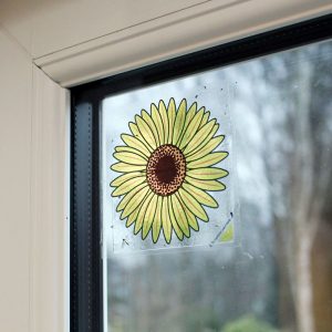 Window fly trap stickers