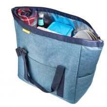 Lakeland Family Insulated Cool Bag 22L